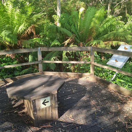 Strahan Backpackers エクステリア 写真